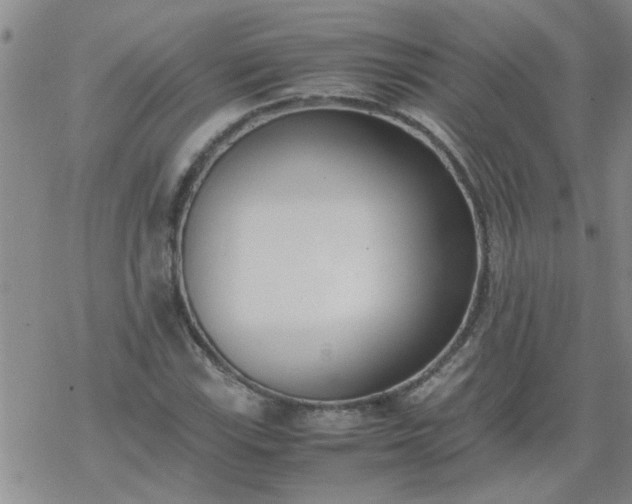 X0000069391115200605192207