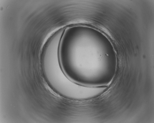 X0000069391116200605192207