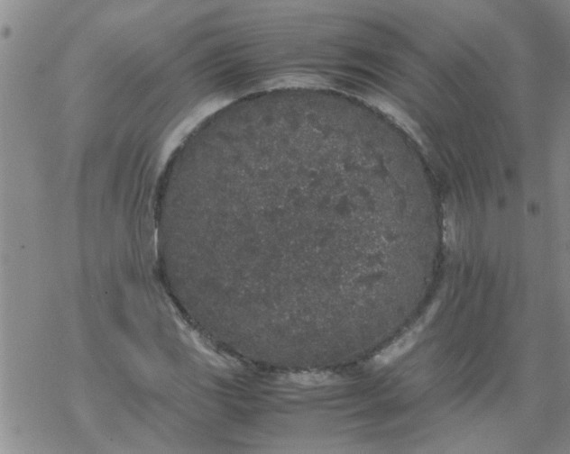 X0000069391117200605192207