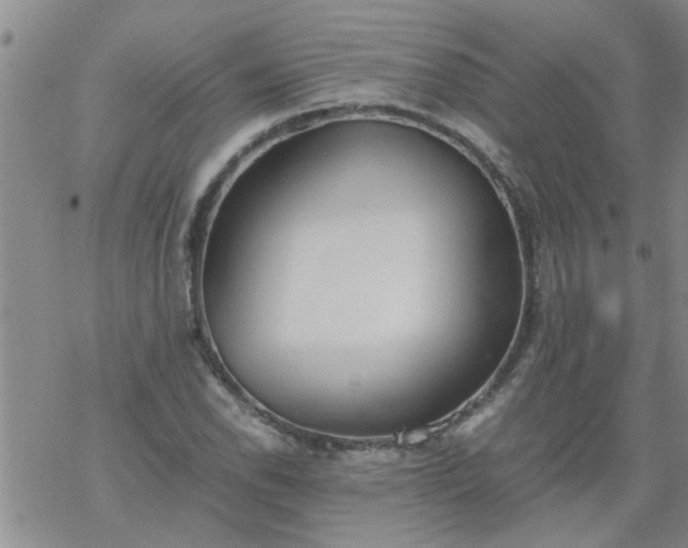 X0000069391118200605192207