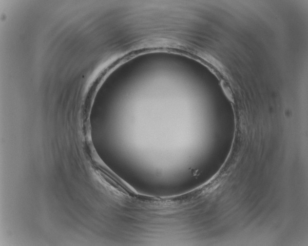 X0000069391120200605192207