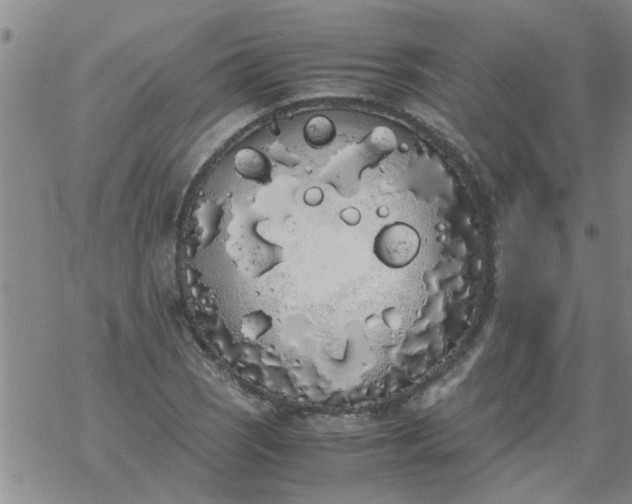 X0000069391121200605192207