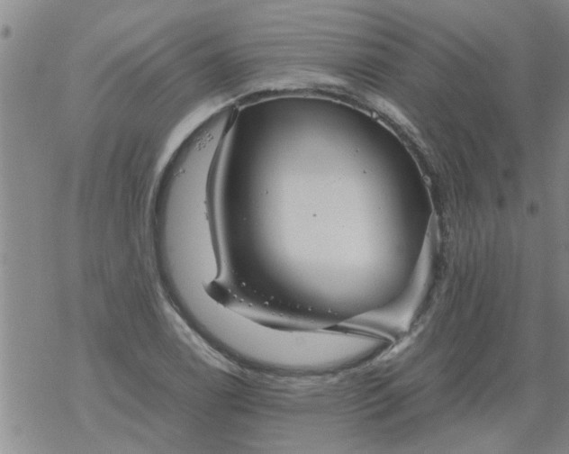 X0000069391122200605192207