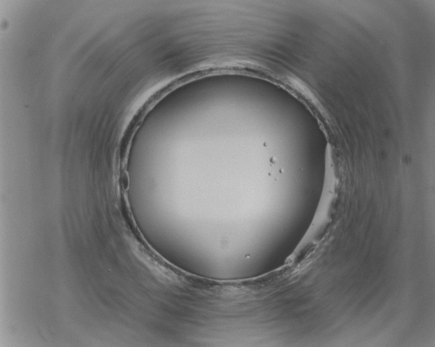 X0000069391124200605192207