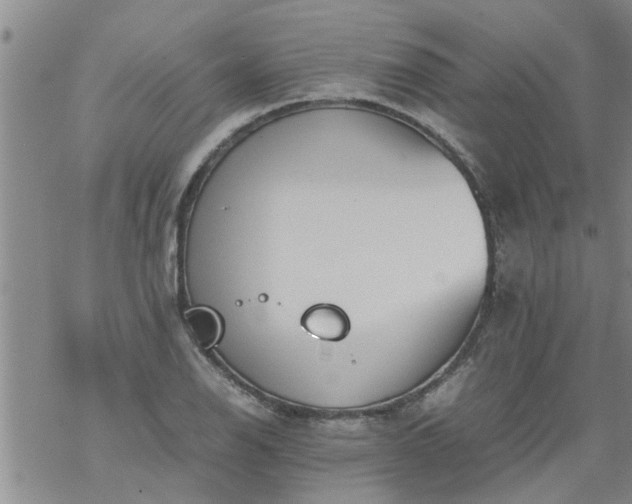 X0000069391126200605192207