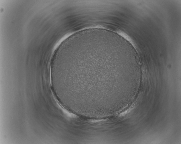 X0000069391127200605192207