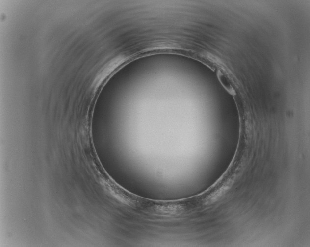 X0000069391129200605192207