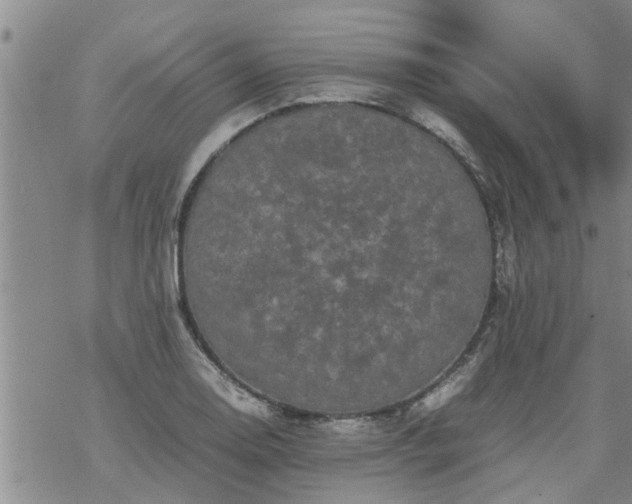 X0000069391130200605192207