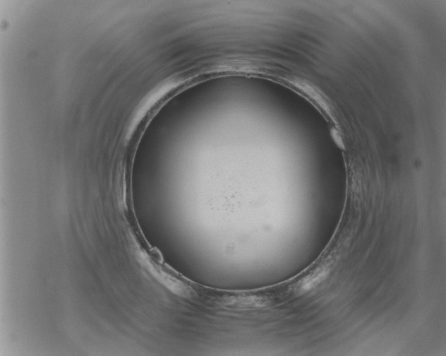 X0000069391131200605192207