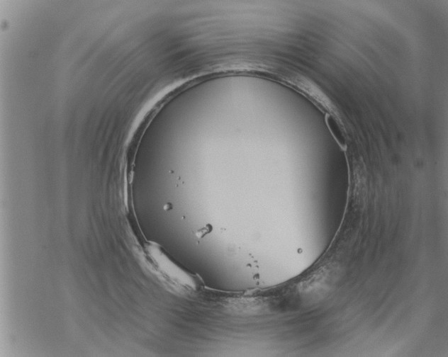 X0000069391132200605192207