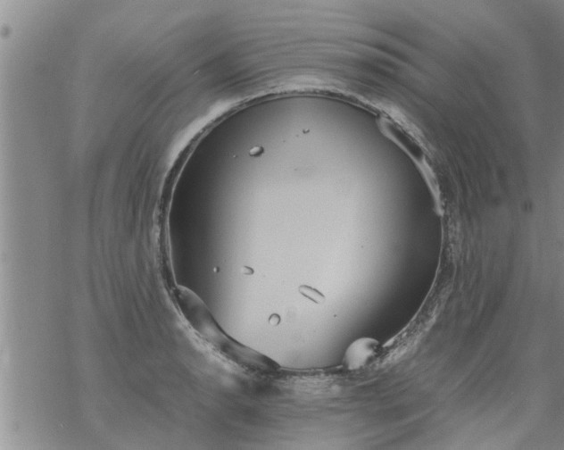 X0000069391134200605192207