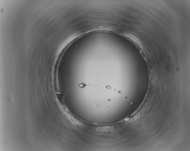 X0000069391135200605192207