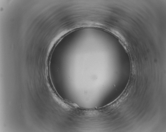 X0000069391136200605192207