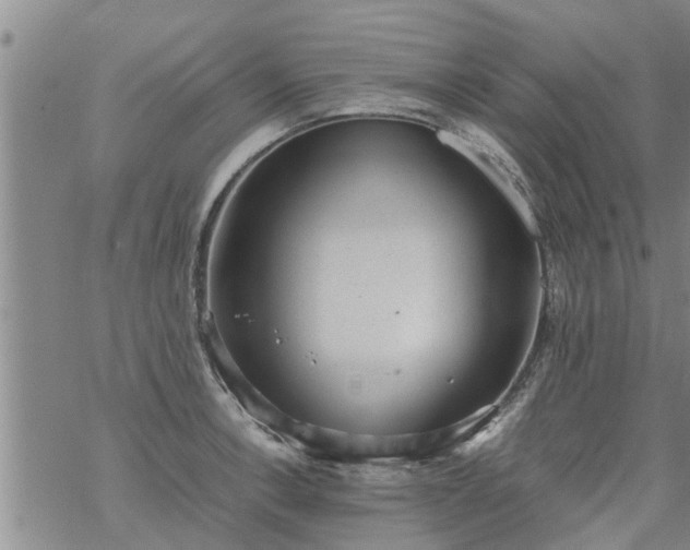 X0000069391138200605192207