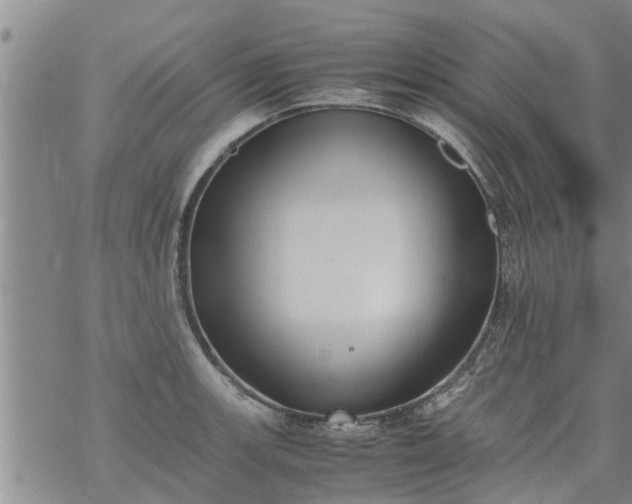 X0000069391139200605192207