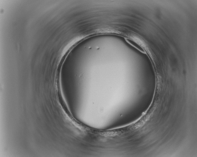 X0000069391141200605192207