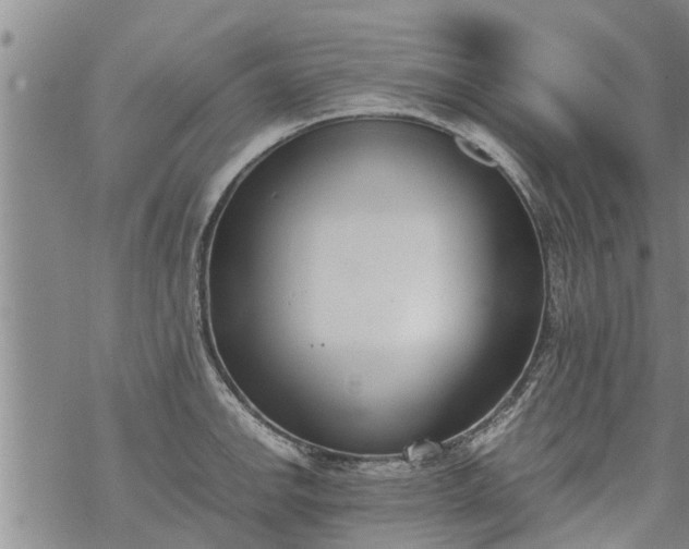 X0000069391142200605192207