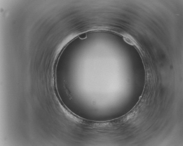 X0000069391143200605192207