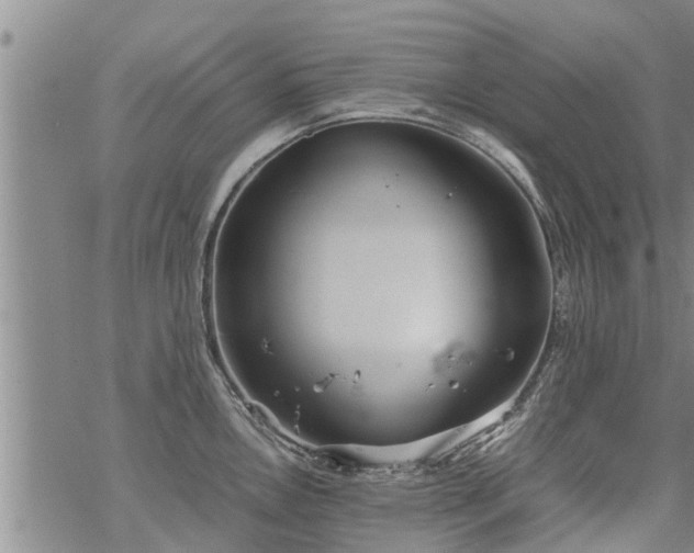 X0000069391146200605192207