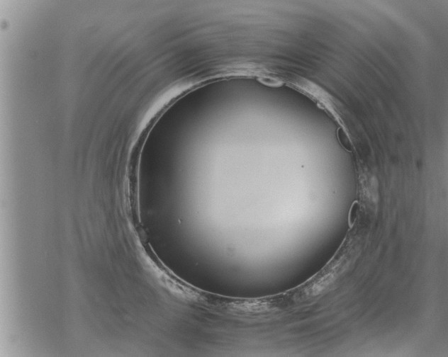 X0000069391147200605192207