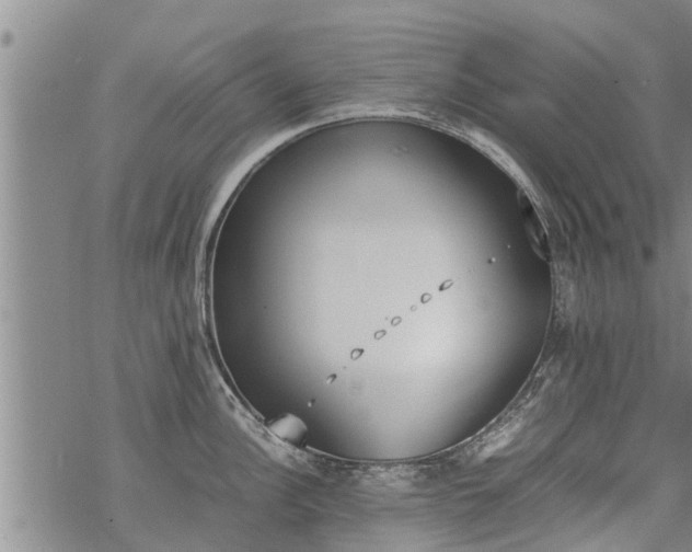 X0000069391148200605192207