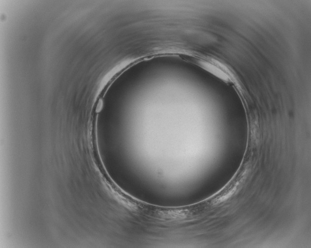 X0000069391149200605192207