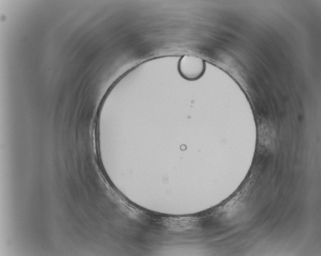 X0000069391150200605192207