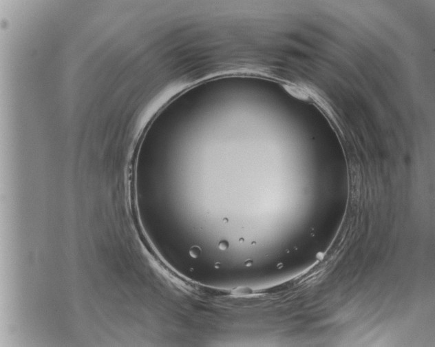 X0000069391151200605192207