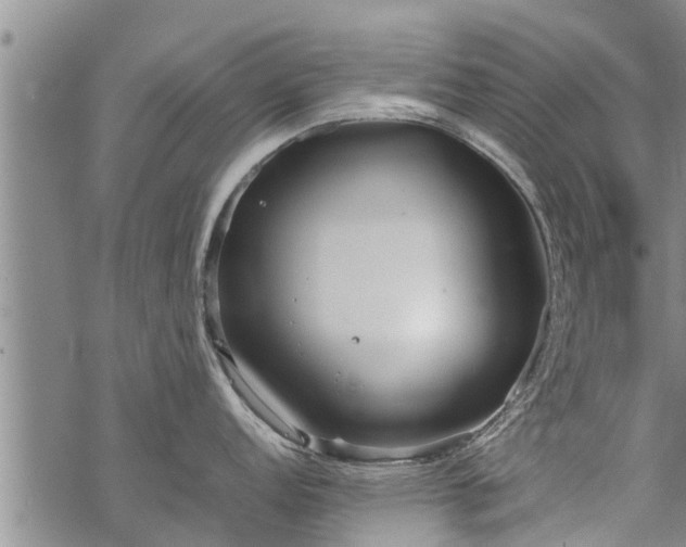 X0000069391152200605192207