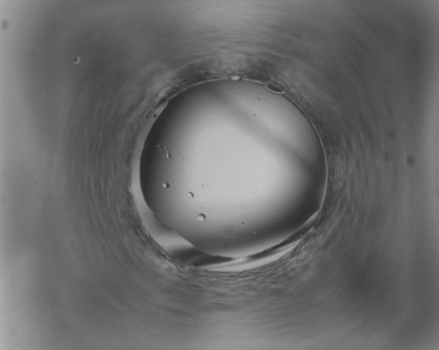 X0000069391153200605192207