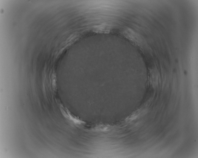 X0000069391154200605192207