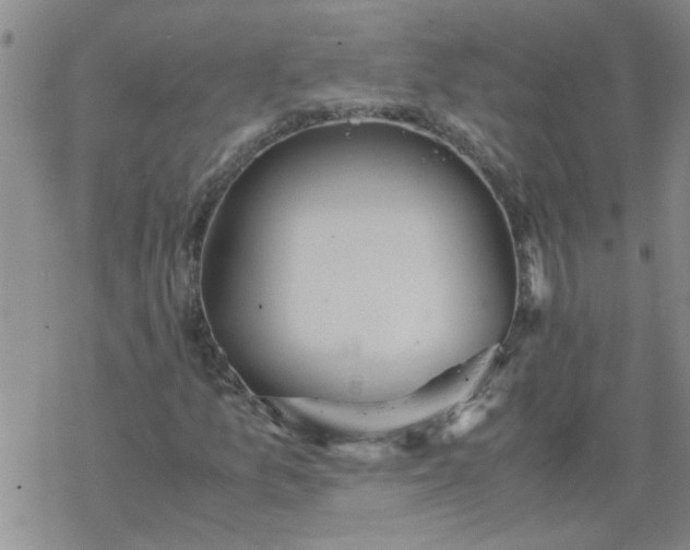 X0000069391157200605192207