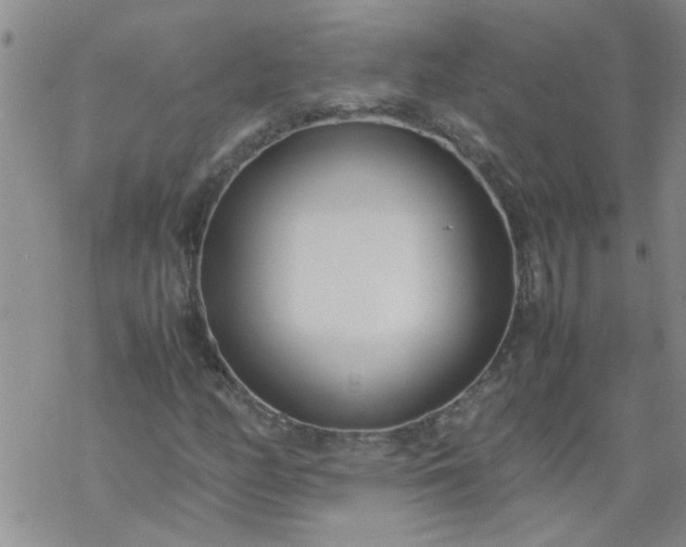 X0000069391158200605192207