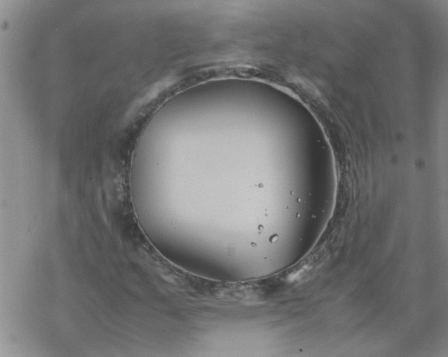 X0000069391159200605192207