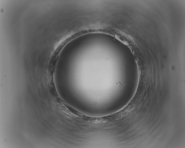 X0000069391160200605192207