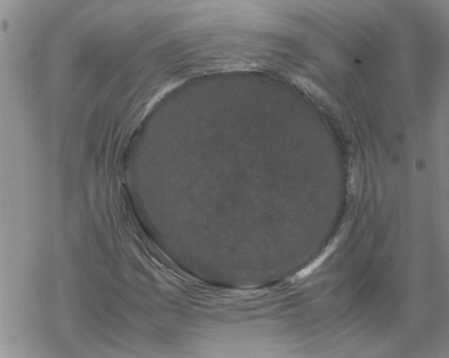 X0000069391161200605192207