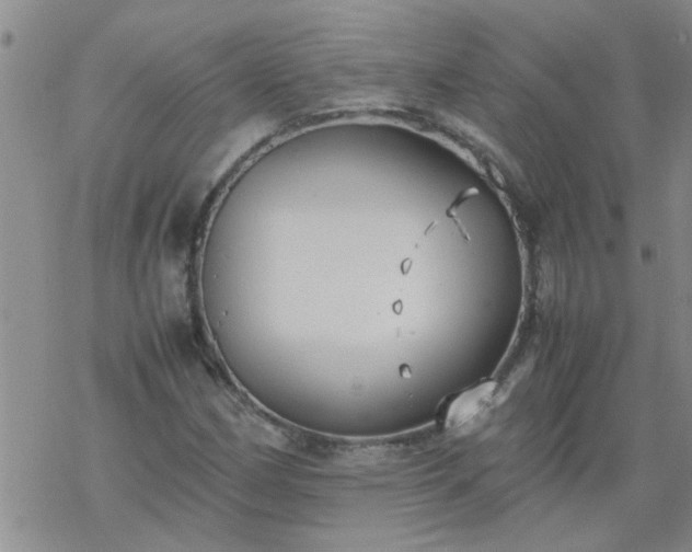 X0000069391162200605192206