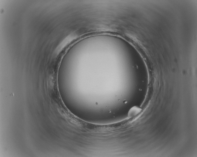 X0000069391163200605192206