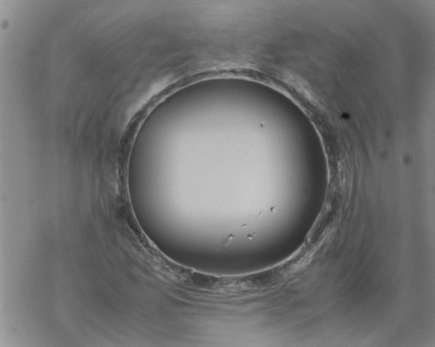 X0000069391165200605192206