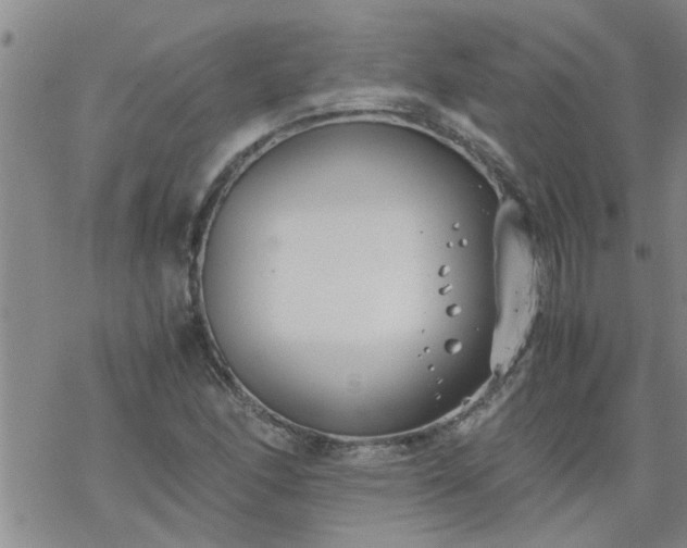 X0000069391166200605192206