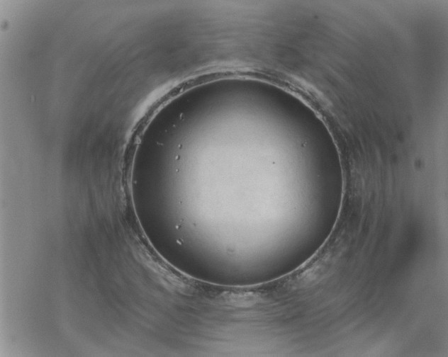 X0000069391168200605192206