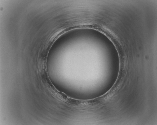 X0000069391169200605192206