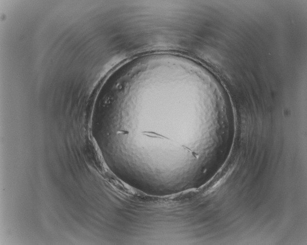 X0000069391170200605192206