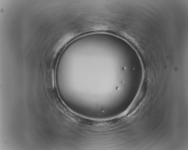 X0000069391171200605192206