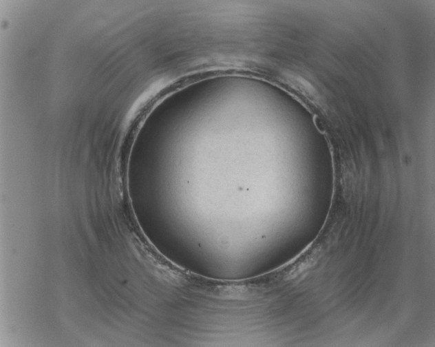 X0000069391172200605192206