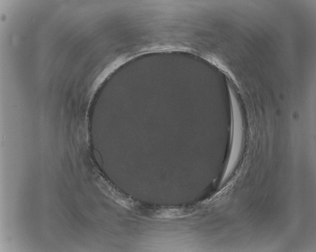 X0000069391173200605192206