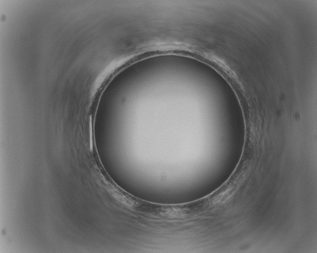 X0000069391175200605192206