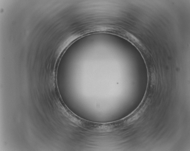 X0000069391178200605192206