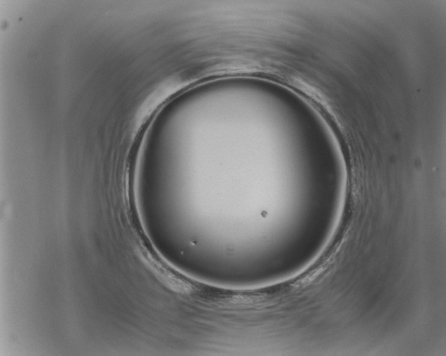 X0000069391179200605192206