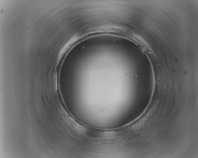 X0000069391180200605192206